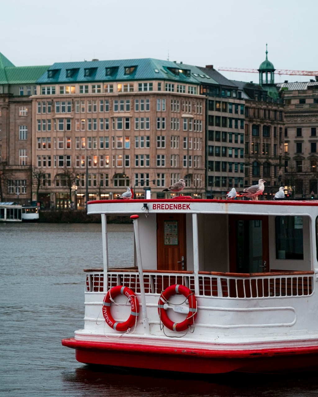 Gulls on a boat in Hamburg, Germany