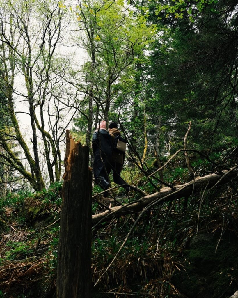 A couple walking in the forests surrounding Fløyen in Bergen, Norway