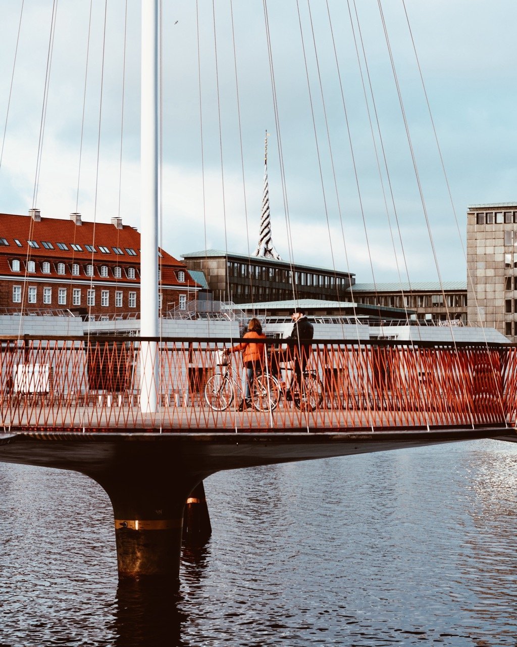 Photo of a couple with their bikes in Copenhagen