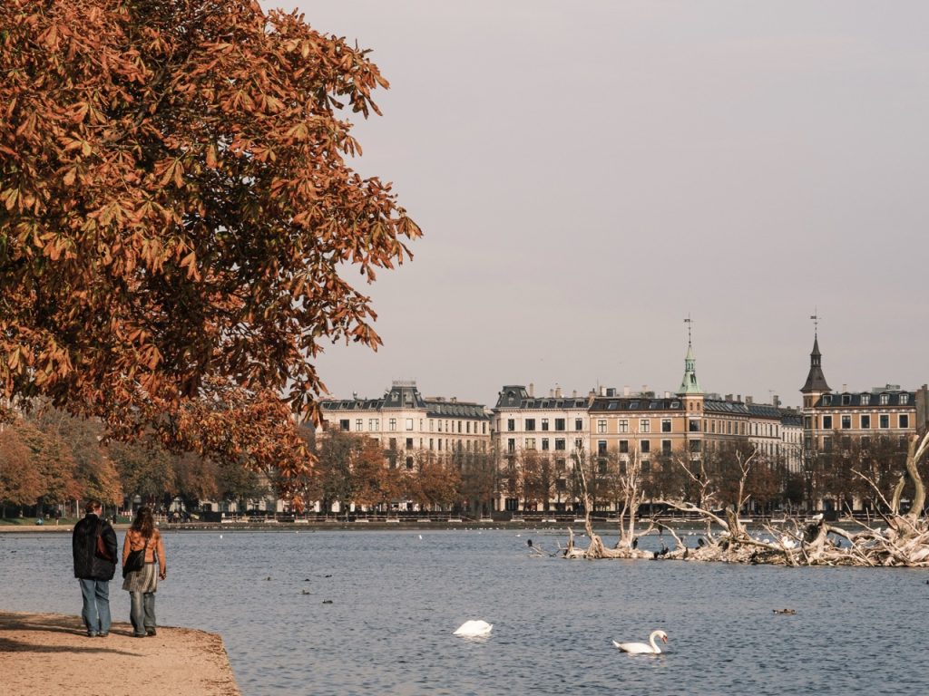 A Local's Guide to Autumn in Copenhagen - Danny in the North