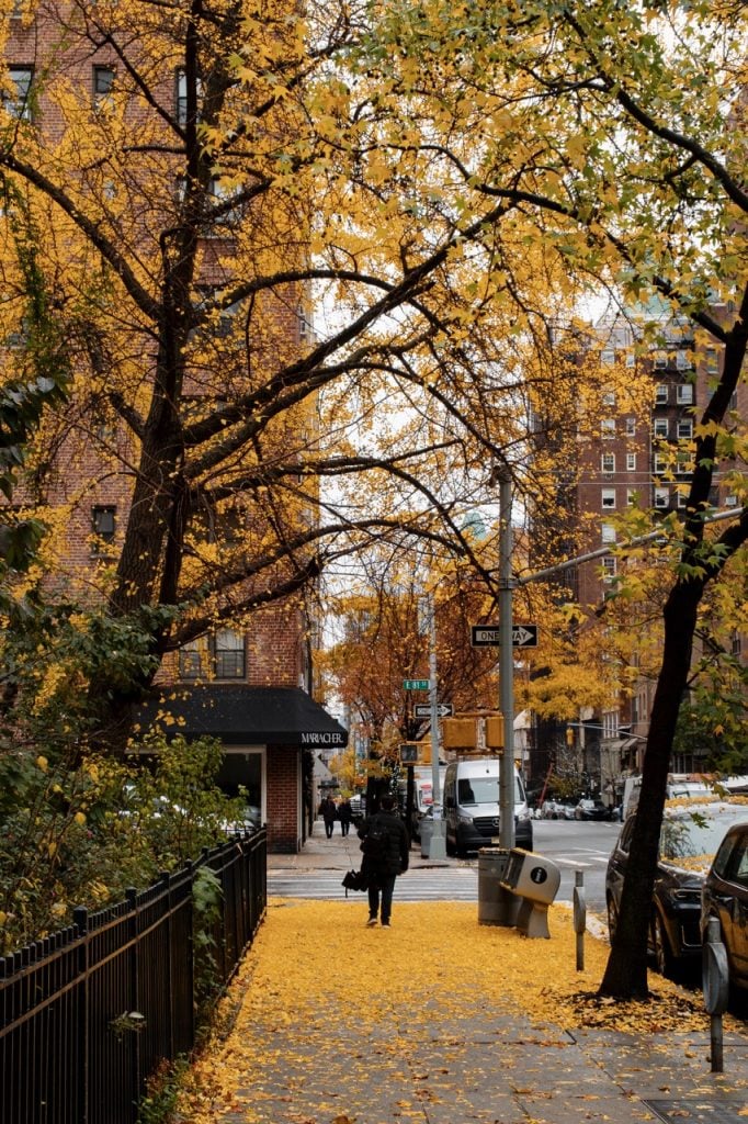 Autumn in the UES, NYC
