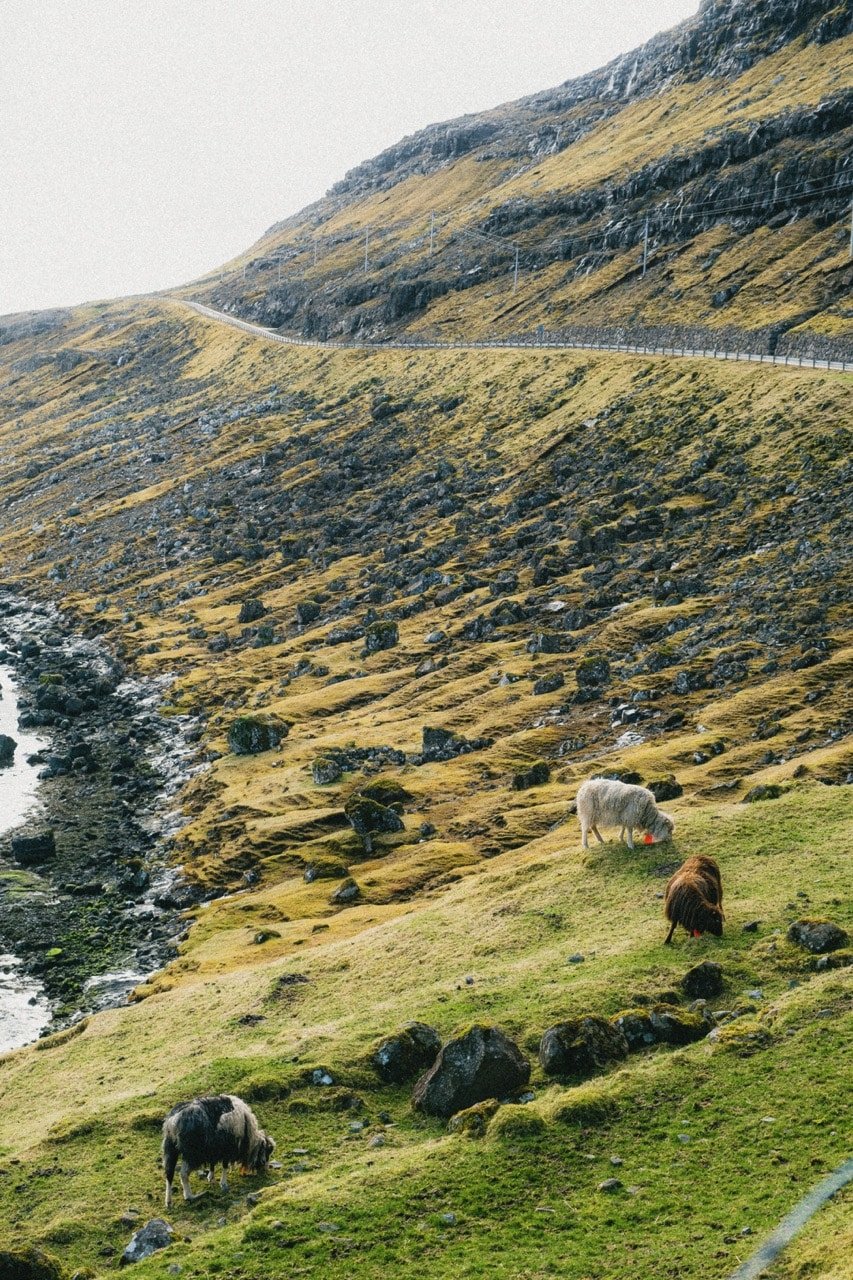 The road leading to Tjørnuvík, Faroe Islands
