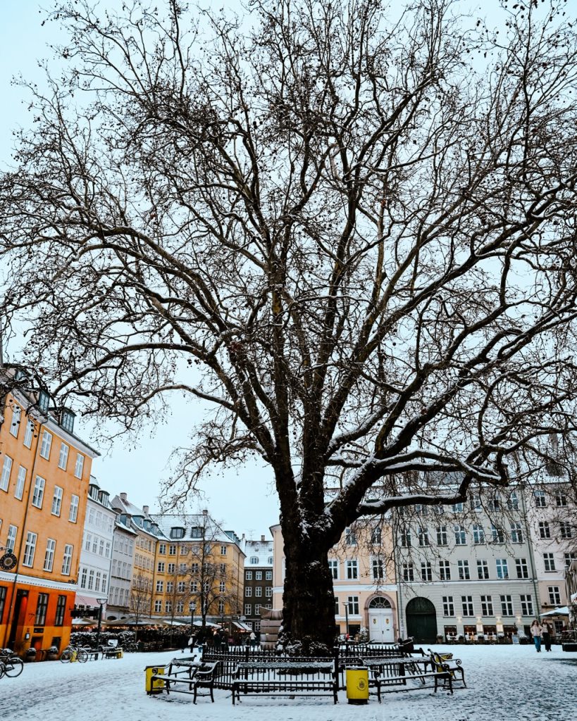 Grรฅbrรธdretorv in Copenhagen during the winter
