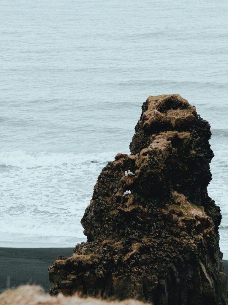 photo of birds on a cliff in Iceland