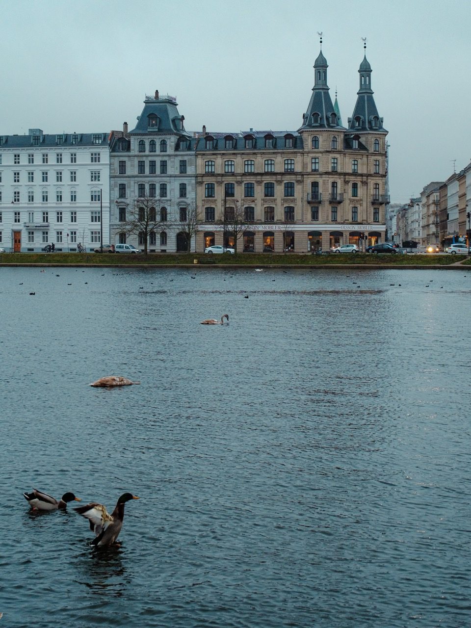 A moody day at The Lakes in Copenhagen