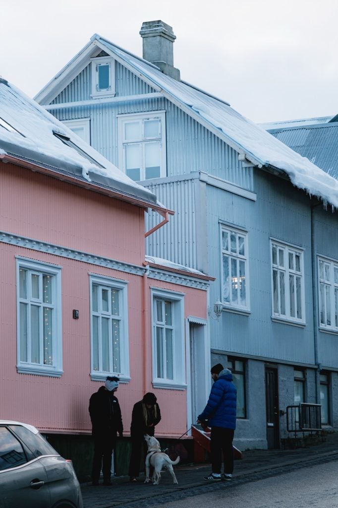 A photo of a dog approaching people in Reykjavik
