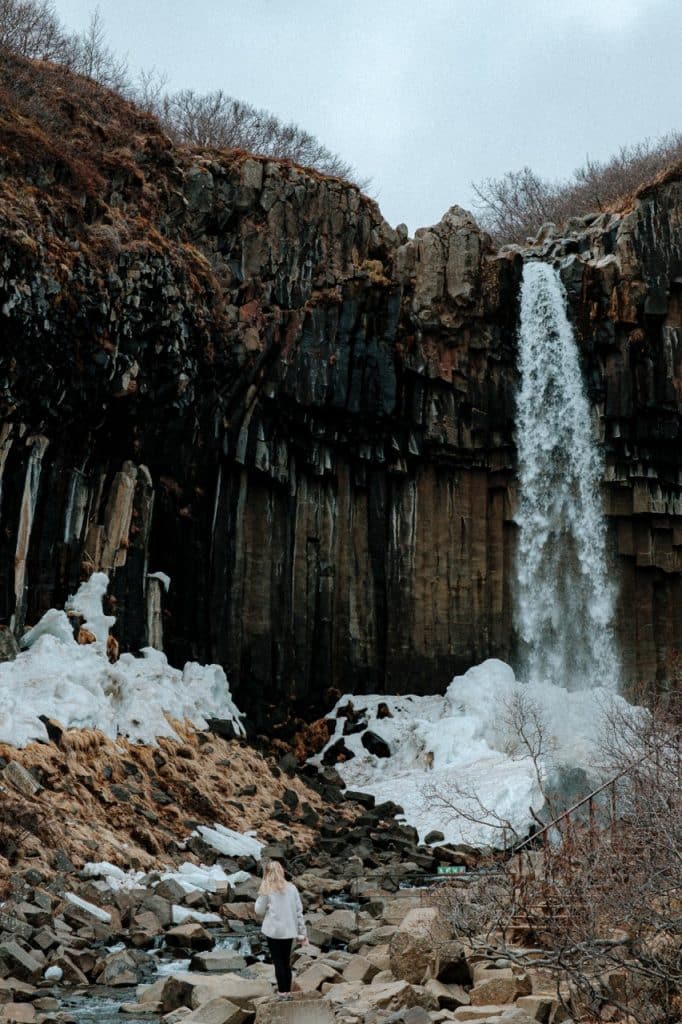A person next to Svartifoss waterfall in Iceland