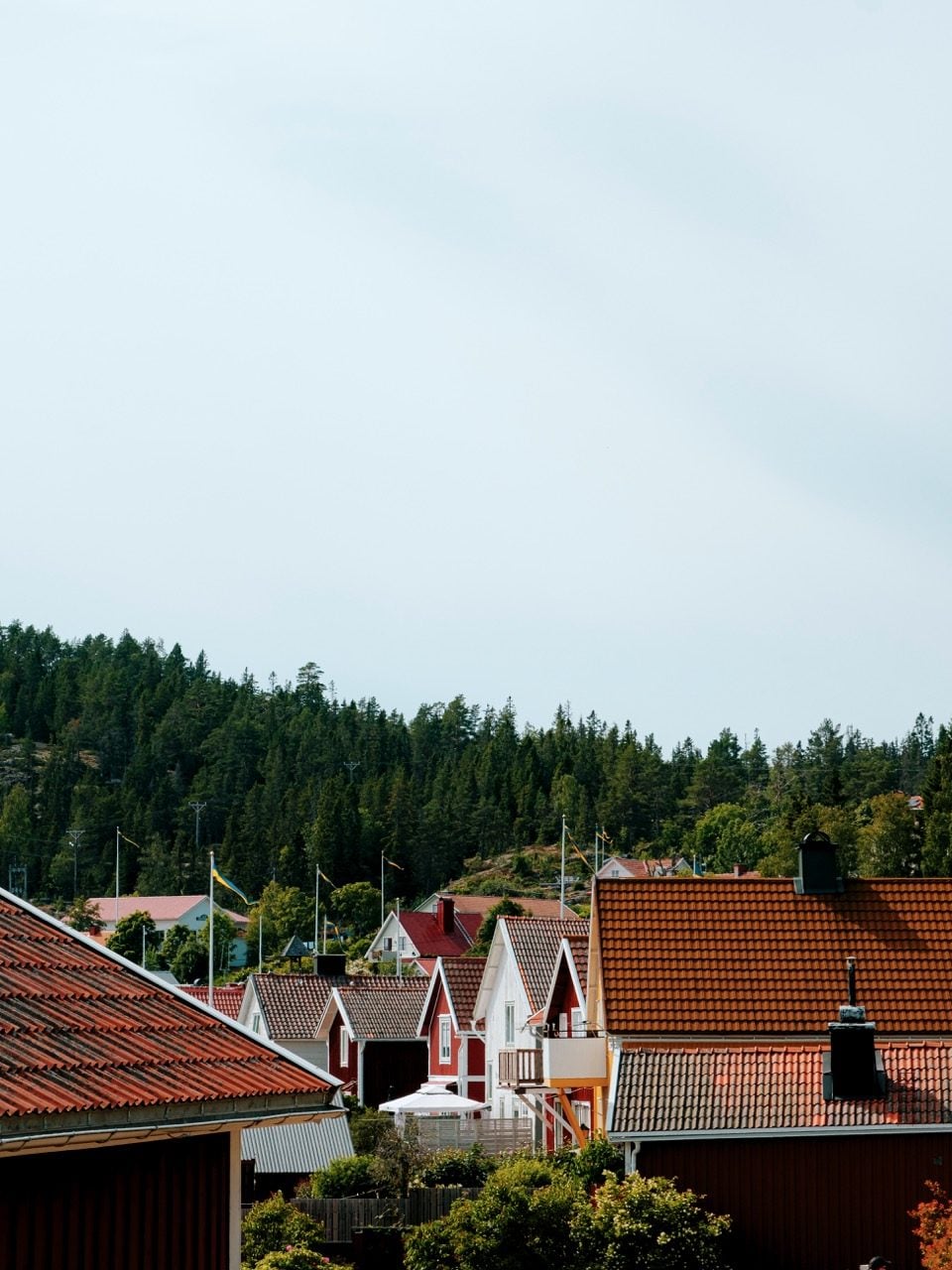 Ulvöhamn houses in Sweden's High Coast during the summer