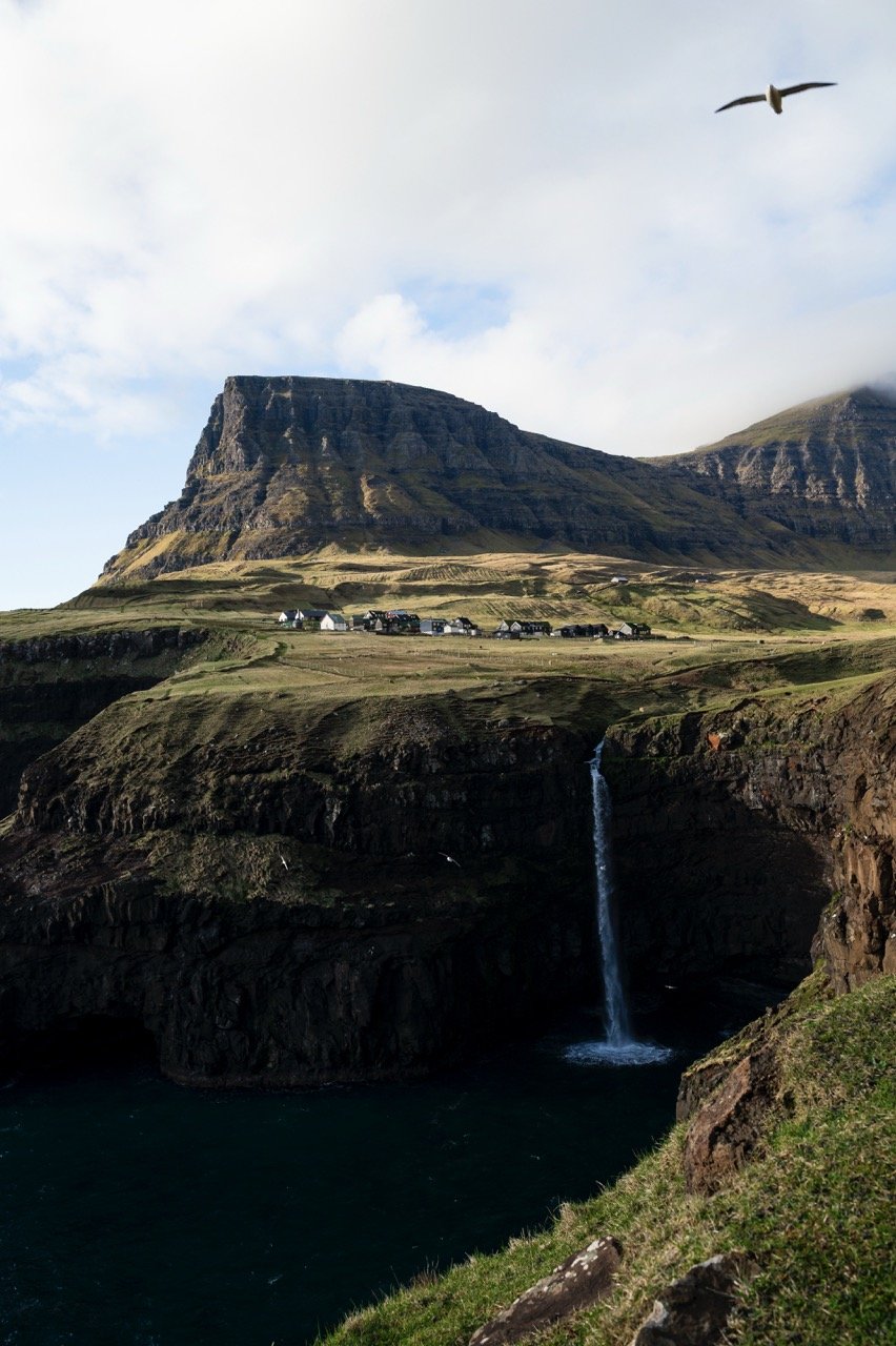A photo of a bird flying above Gásadalur, Faroe Islands