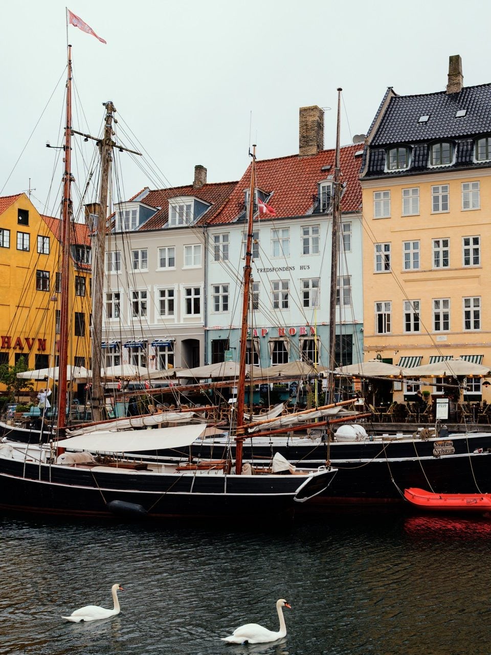 Swans in Nyhavn, Copenhagen