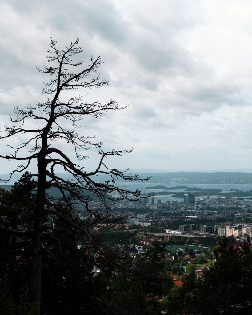 A view of Downtown Oslo, Norway, from a hill