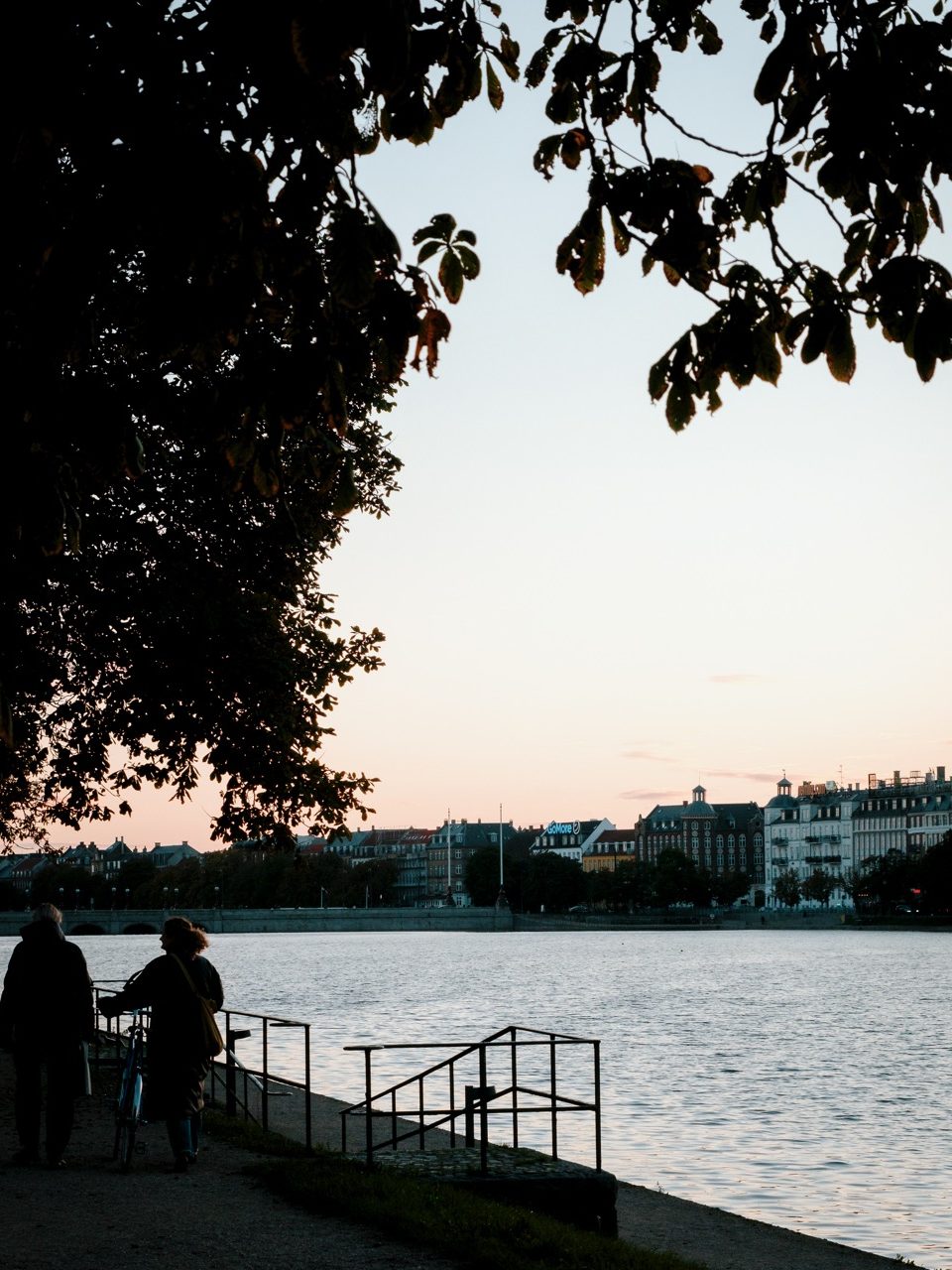 Two friends walking next to each other by the Lakes in Copenhagen on a summer evening