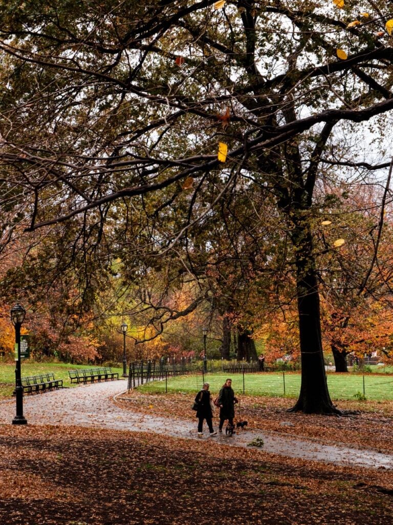People walking on an autumn day in Central Park, NYC