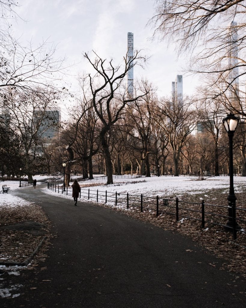 A winter scene in Central Park, NYC