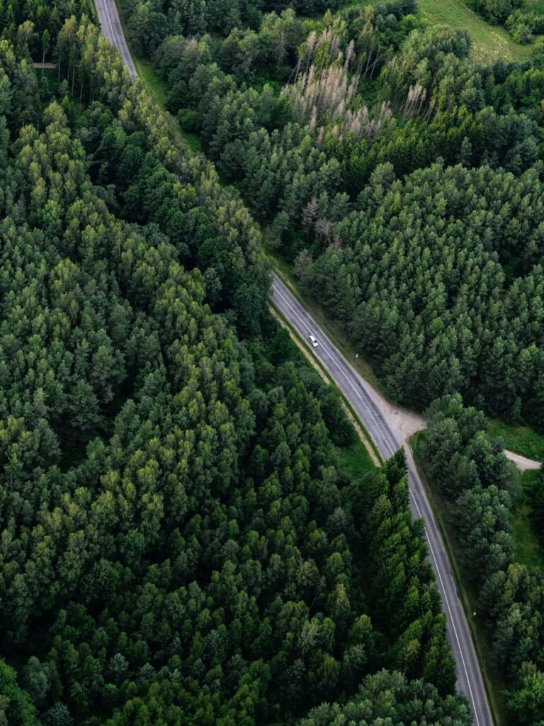 A car driving along a road in Lithuania, as seen from a hot air balloon