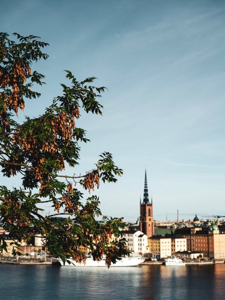 A view of Riddarholmskyrka from Monteliusvägen, Stockholm