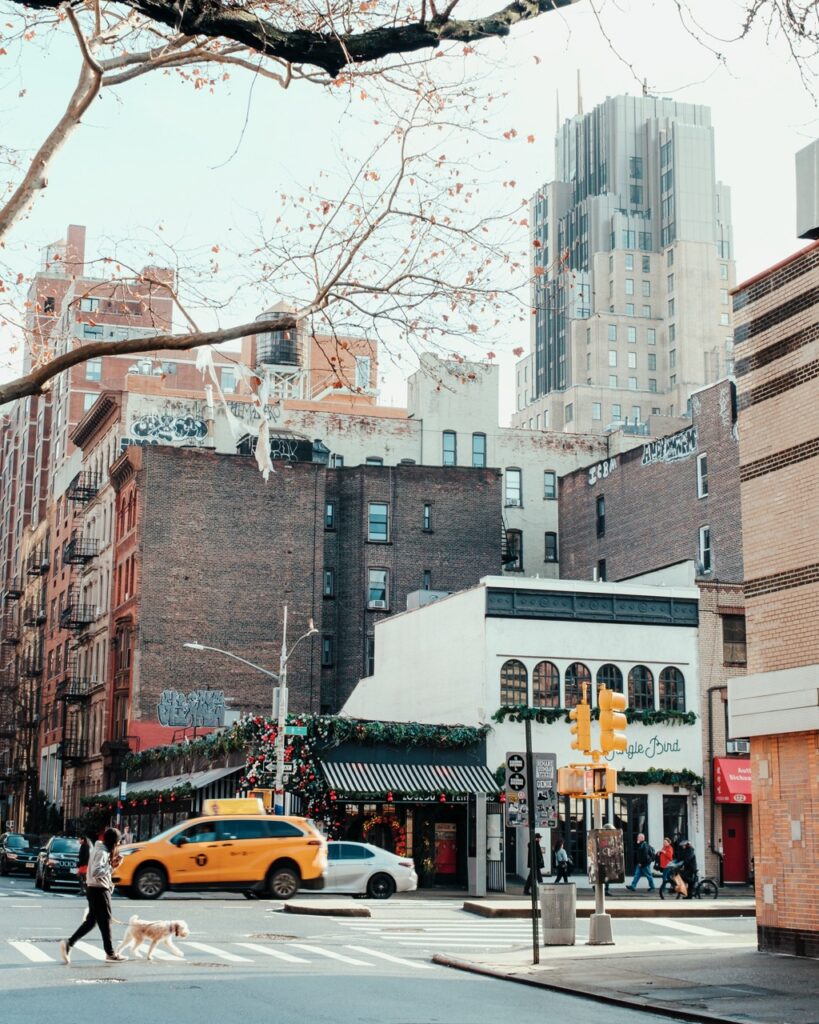 A person walking their dog across the street in NYC