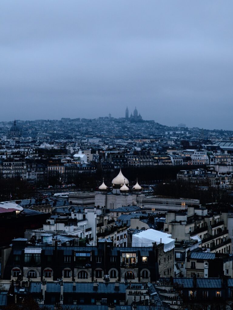 The Paris Skyline Seen From the Eiffel Tower