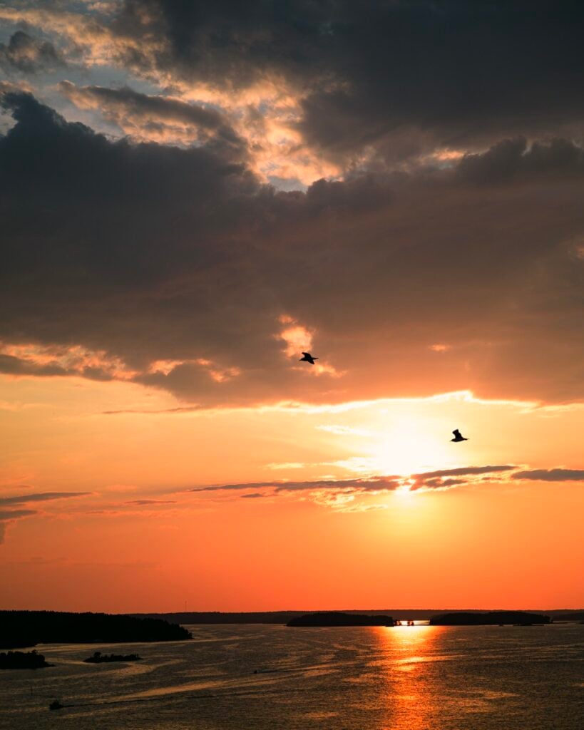 Birds flying at sunset in Naantali, Finland