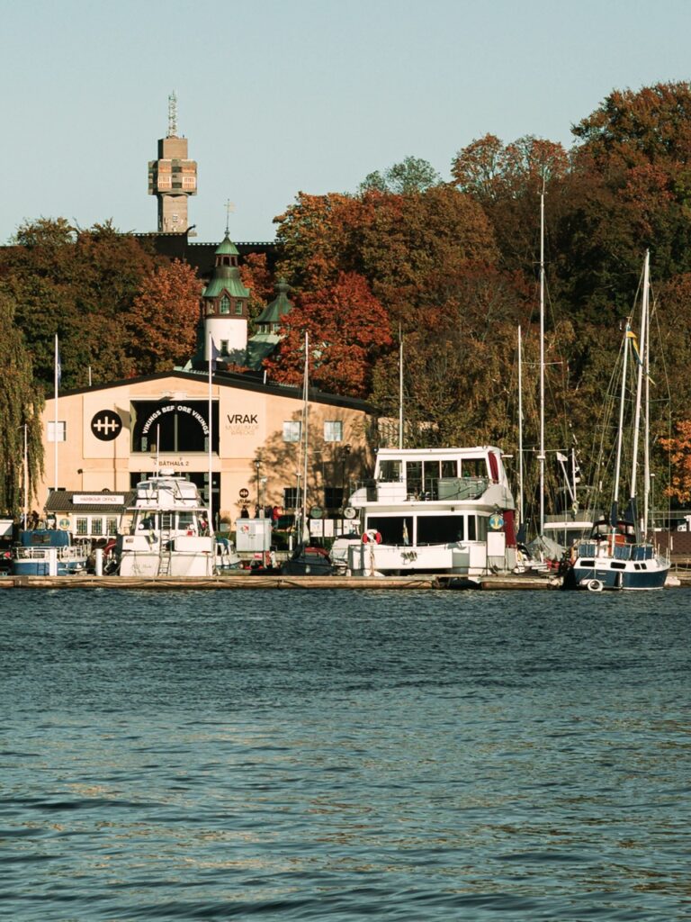 View of Djurgården from a boat