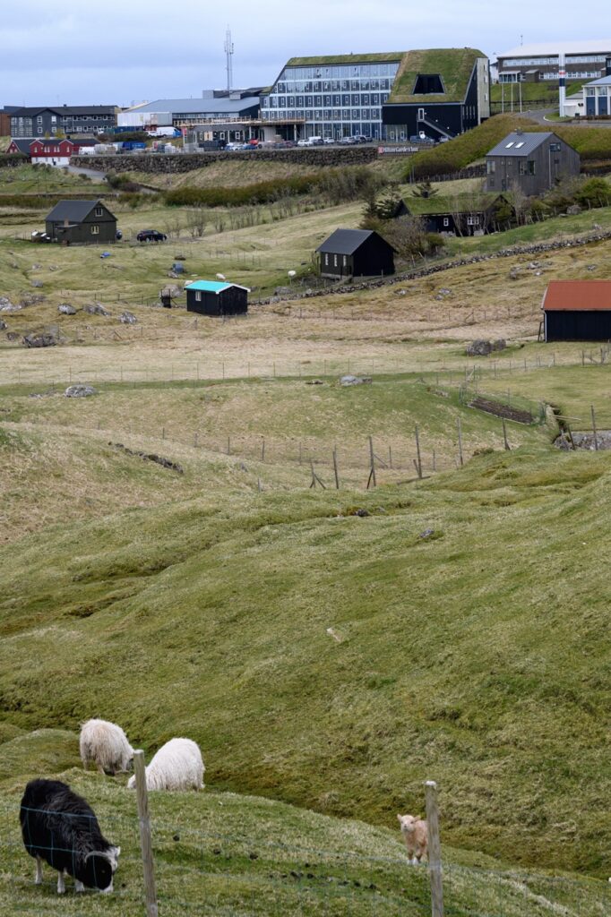 A view of the Hilton Garden Inn Faroe Islands hotel behind a farm