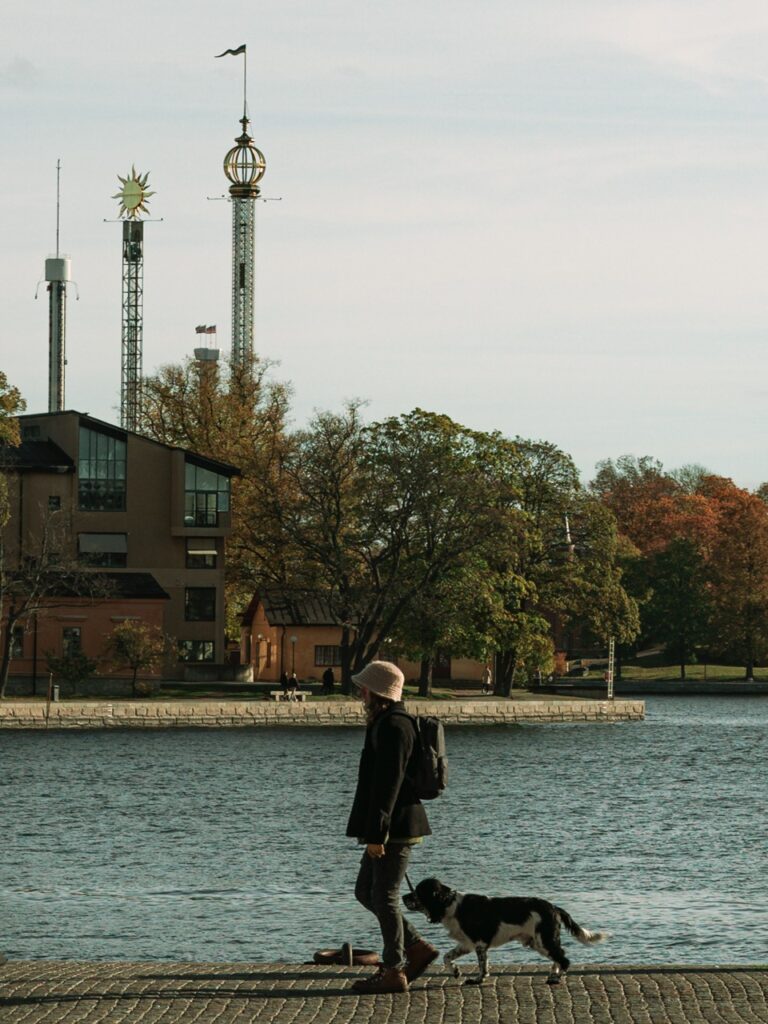 A person walking their dog in Stockholm, Sweden