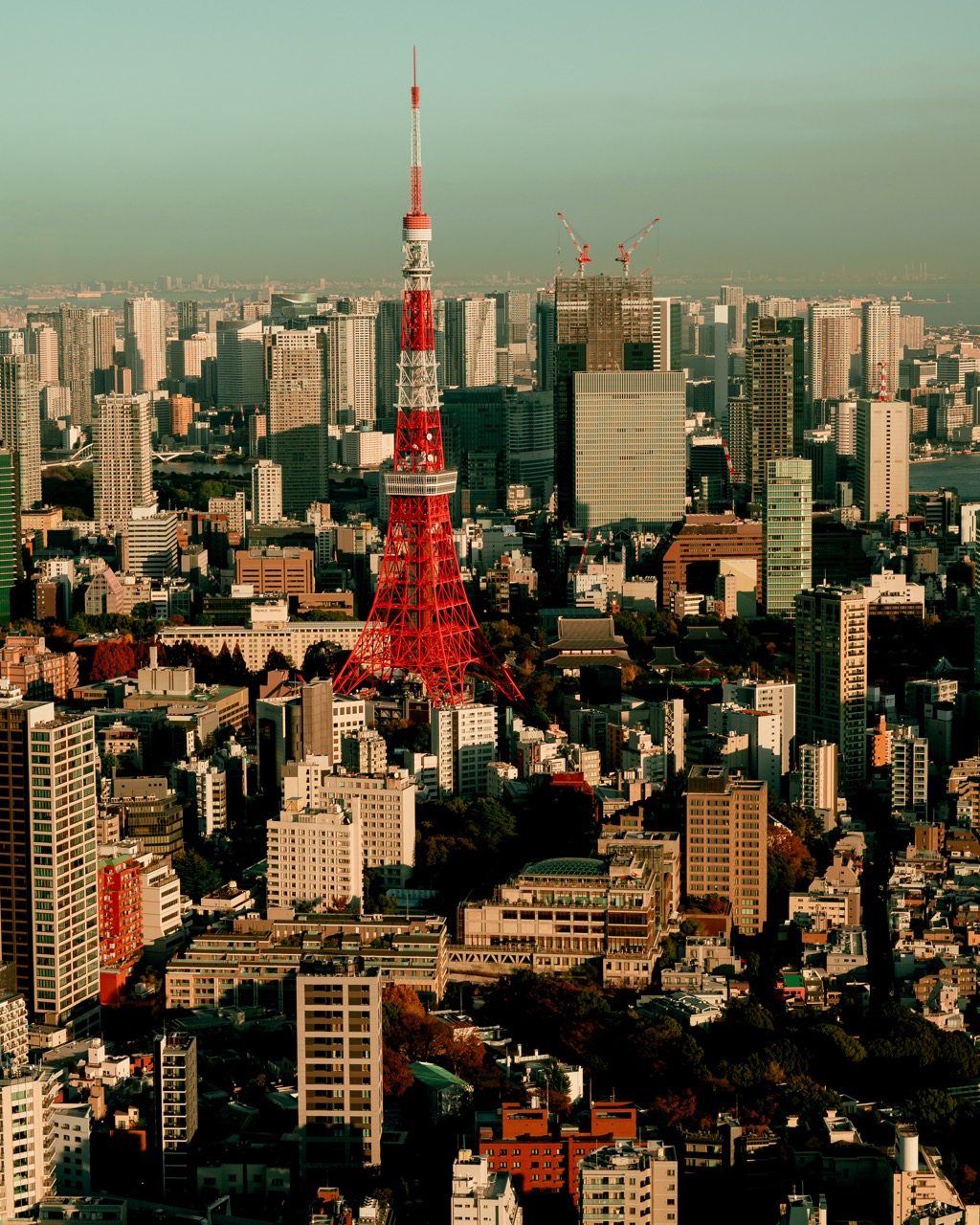 A view of the Tokyo Tower from Roppongi Hills