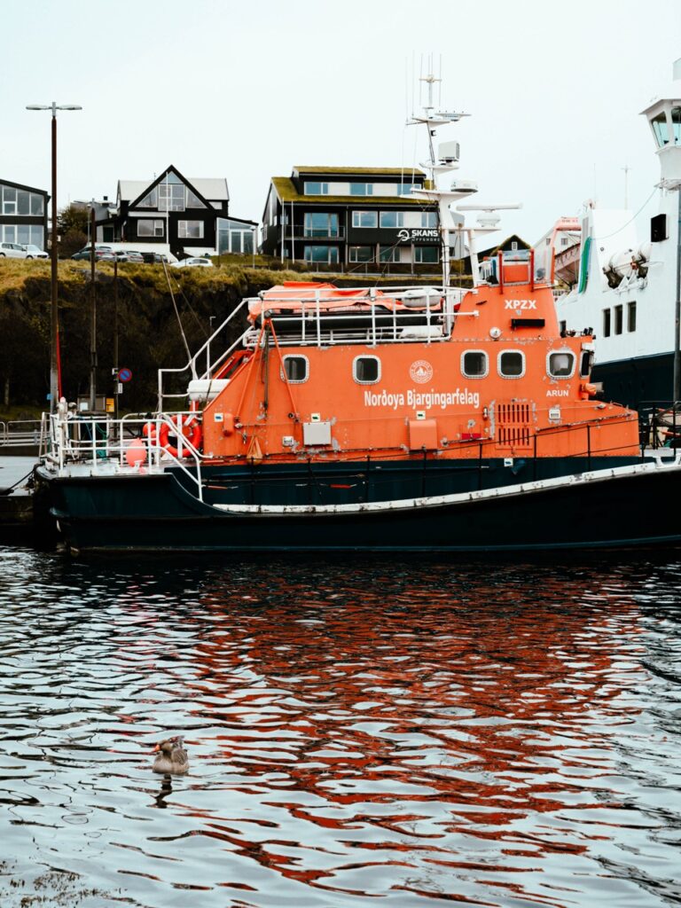 A goose on the water in Torshavn, Faroe Islands