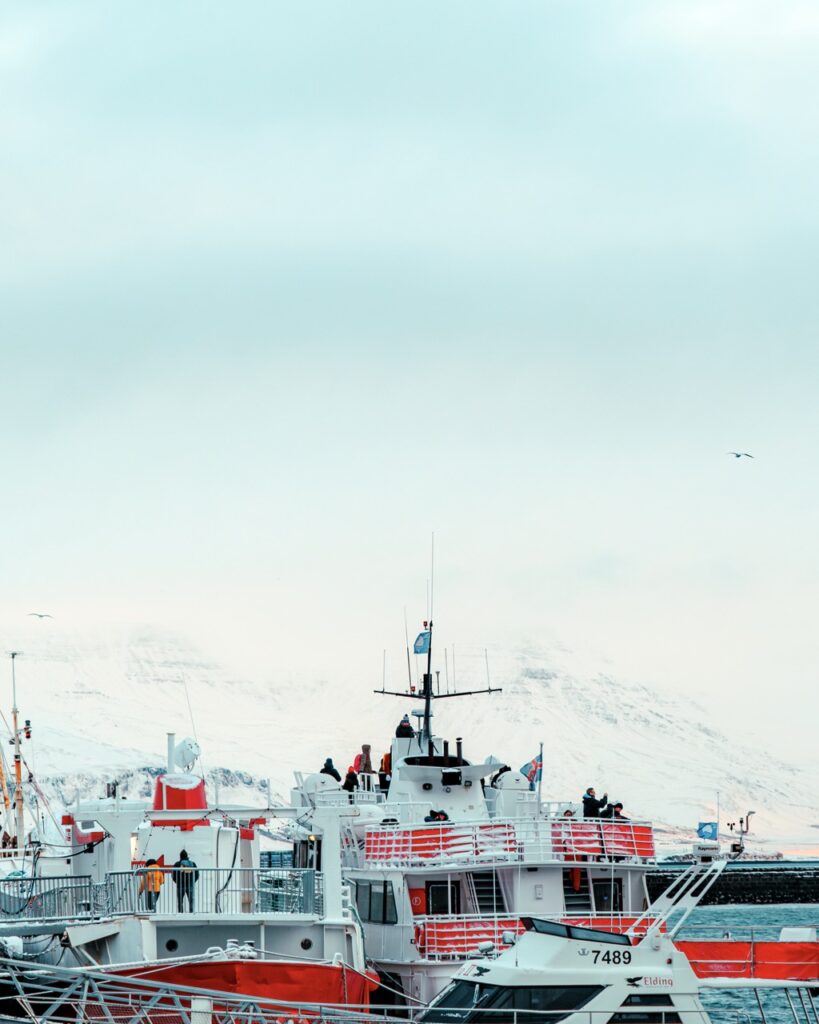 Whale watching tours departing from the Old Harbor in Reykjavík, Iceland
