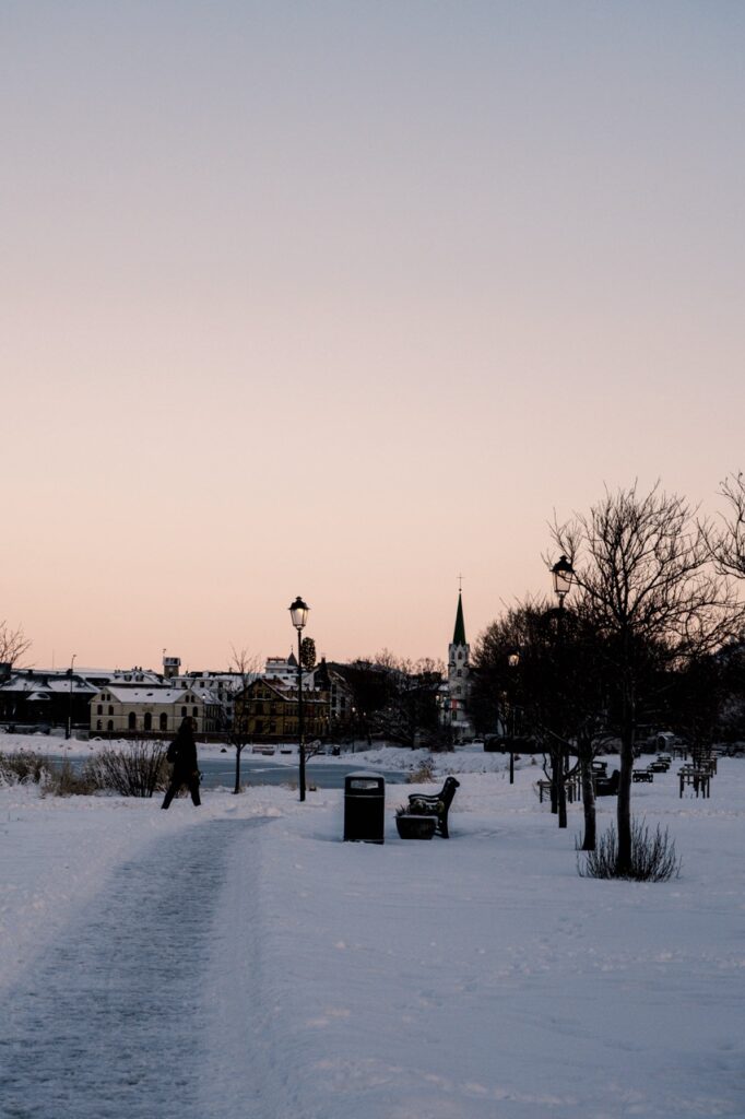 A person walking near Tjörnin in Reykjavík on a winter's day
