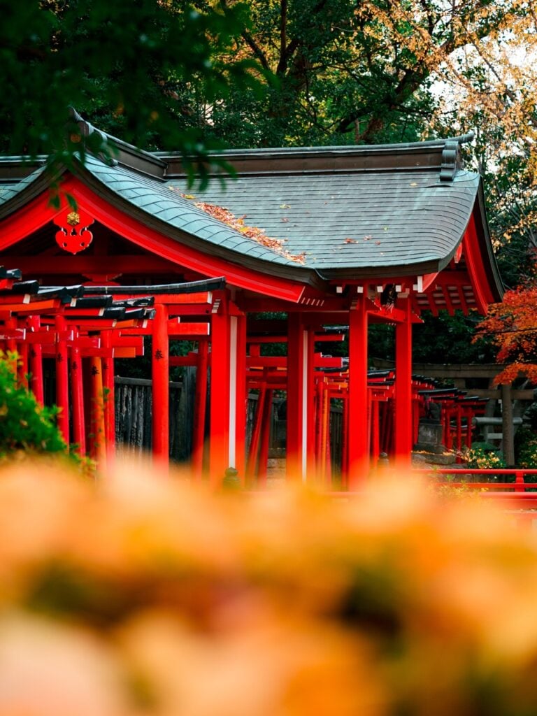 The Nezu Shrine Gates in Tokyo