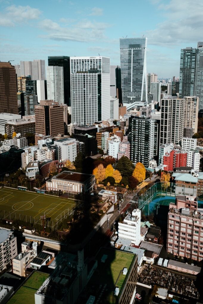 A view of Tokyo from the Tokyo Tower