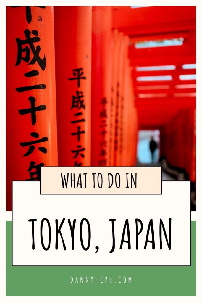 A Pinterest pin for an article about what to do in Tokyo