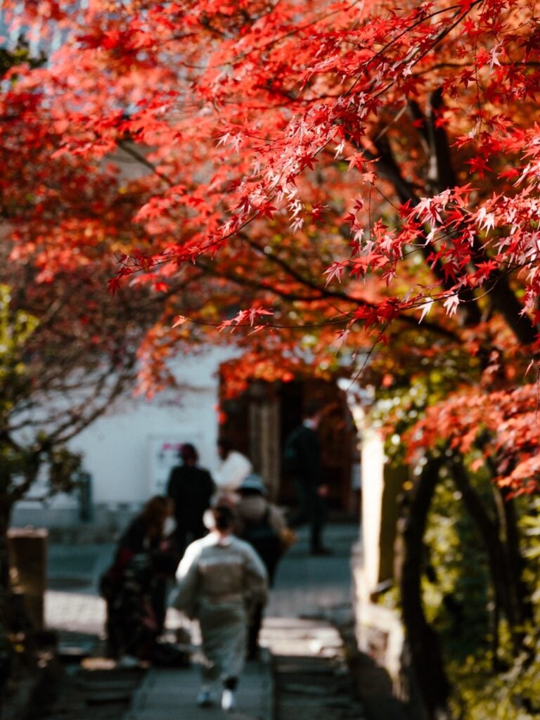 Autumn Leaves in Kyoto, Japan