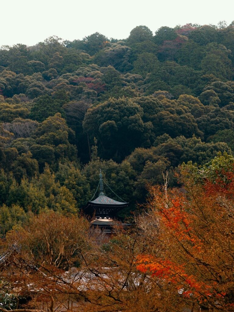 A pagoda surrounded by trees in Kyoto, Japan