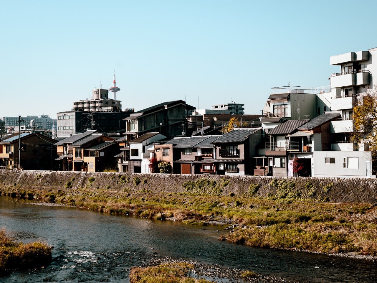 The Kamo River in Kyoto, Japan, During the Day