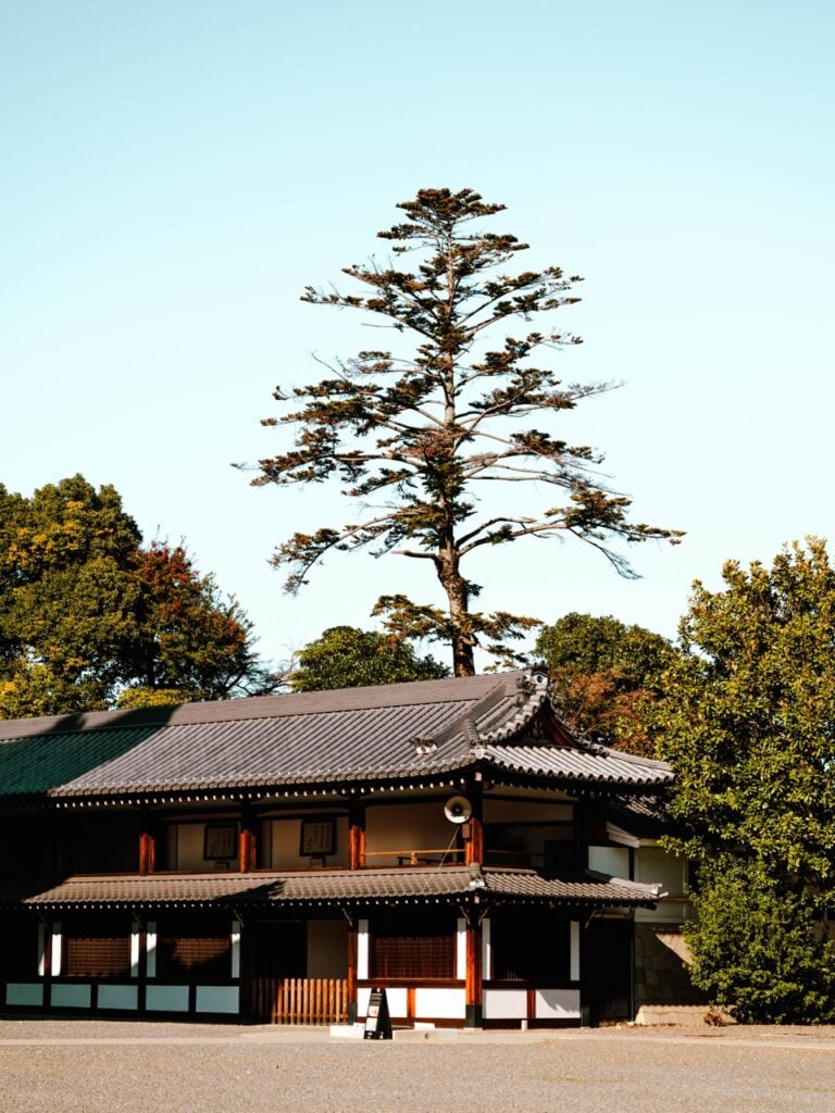 Part of a temple in Kyoto with a tree in the background