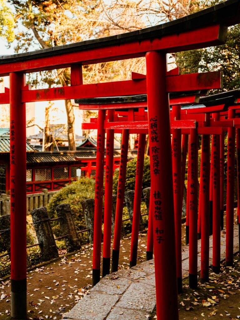 The orange gates at the Nezu shrine in Tokyo