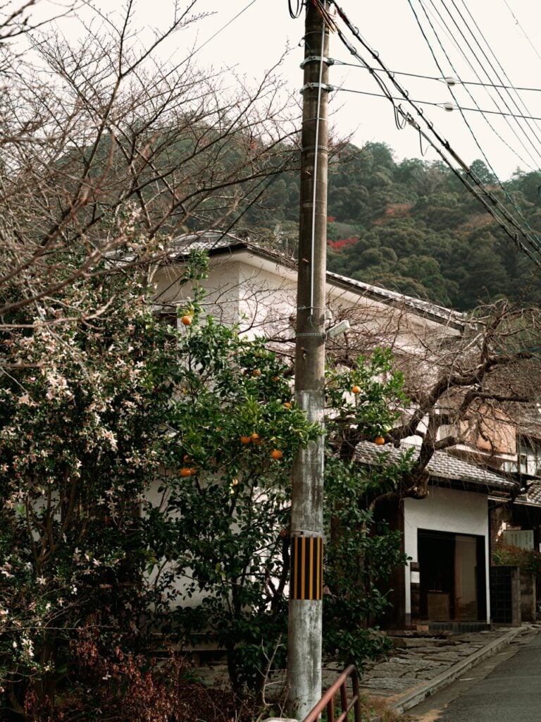 Walking along the Philosopher's Path in Kyoto, Japan