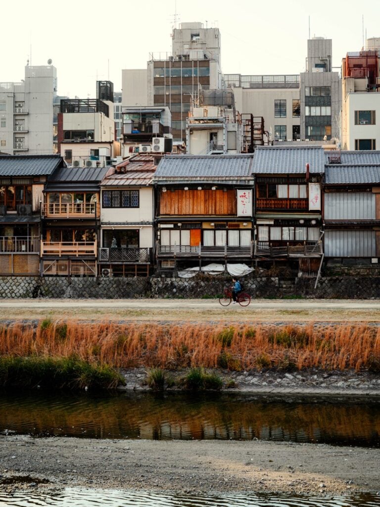 A person cycling along the Kamo River in Kyoto