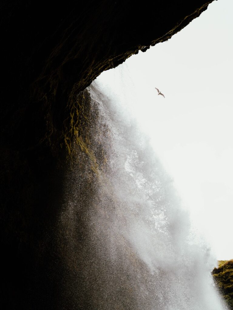 A bird flying next to Kvernufoss in iceland