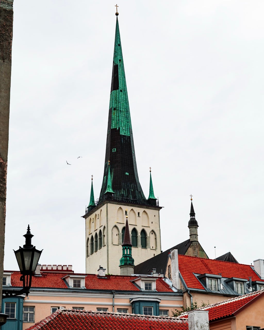Birds flying next to a church in Tallinn, Estonia