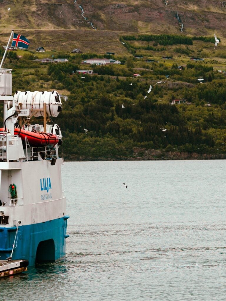A boat and some gulls in Akureyri, Iceland