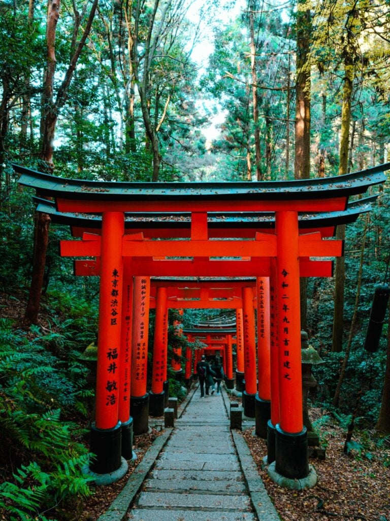 Forest and gates at the Fushimi Inari Shrine in Kyoto