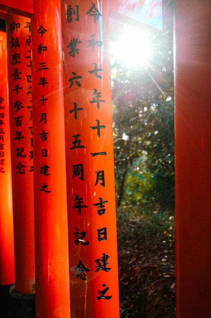 Lens flare at the Fushimi Inari Shrine
