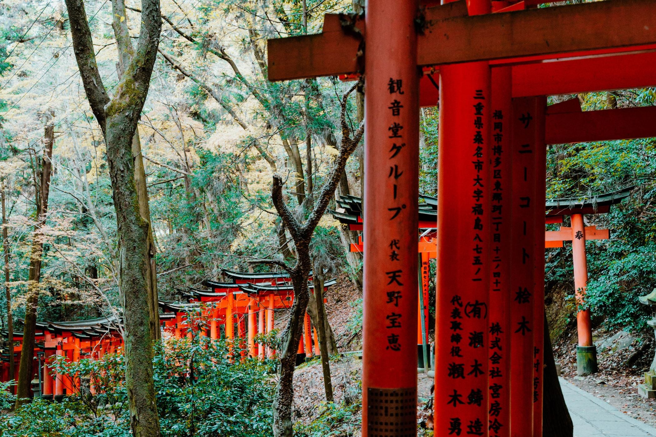 Fushimi Inari Shrine Kyoto Featured Image