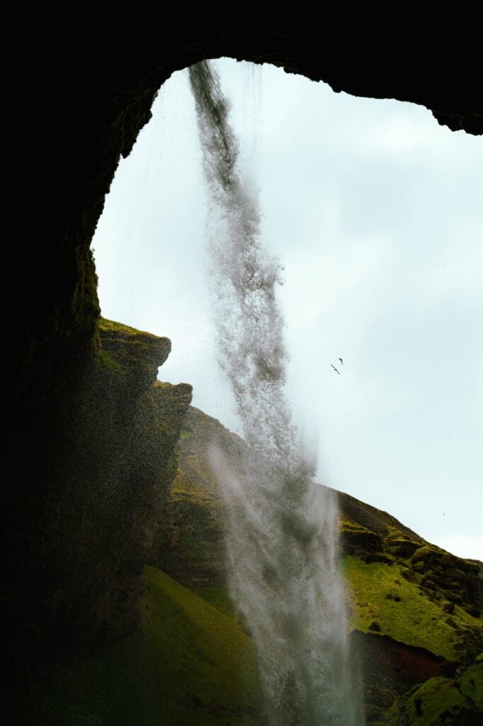 Birds flying at Kvernufoss, Iceland
