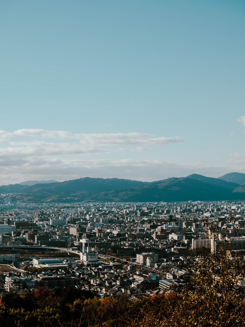 A view of Kyoto from above at the Fushimi Inari Shrine