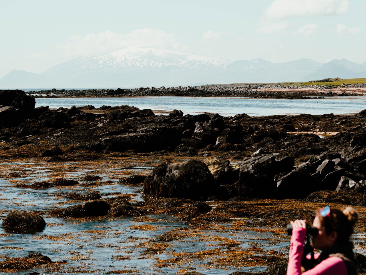 Scenery at Ytri Tunga in Iceland