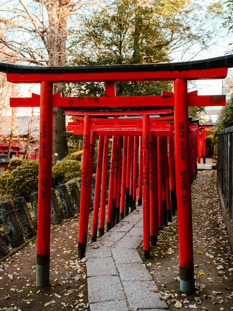 Gates at the Nezu Shrine in Tokyo, Japan